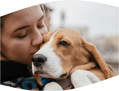 Dog Image