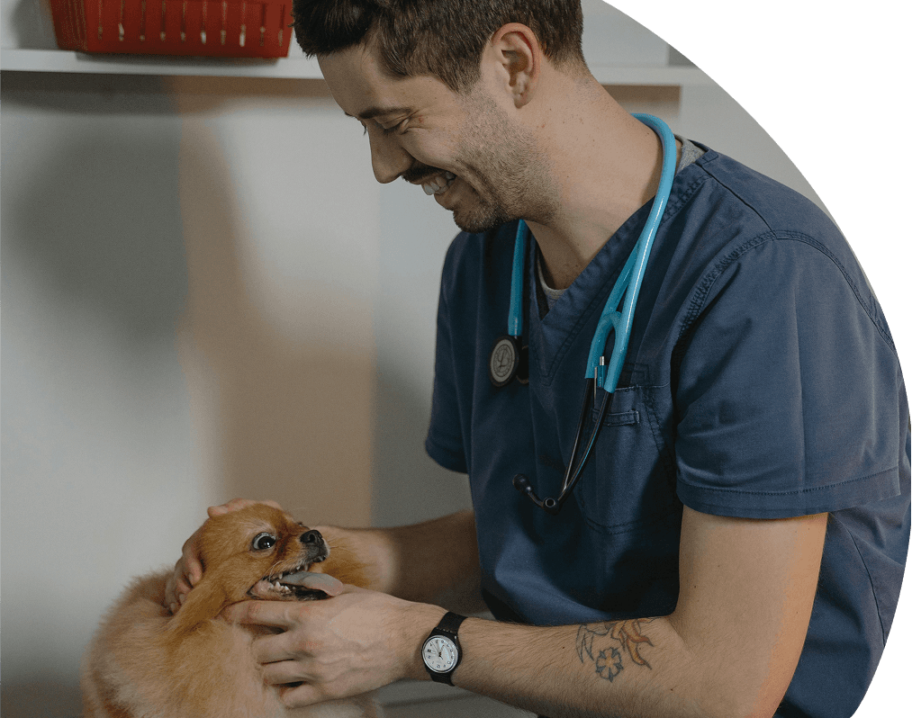 Veterinarian with dog